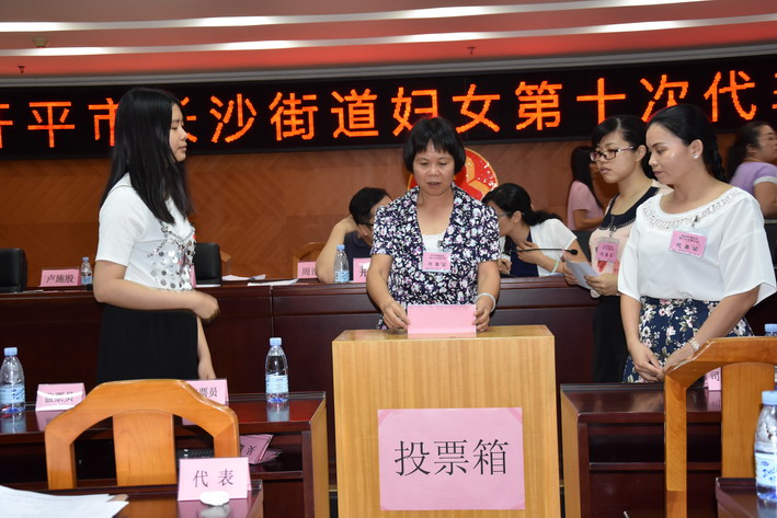 C:UsersadminDesktop20170810亚星官网
长沙街道妇女第十次代表大会召开DSC_6918_调整大小.jpg