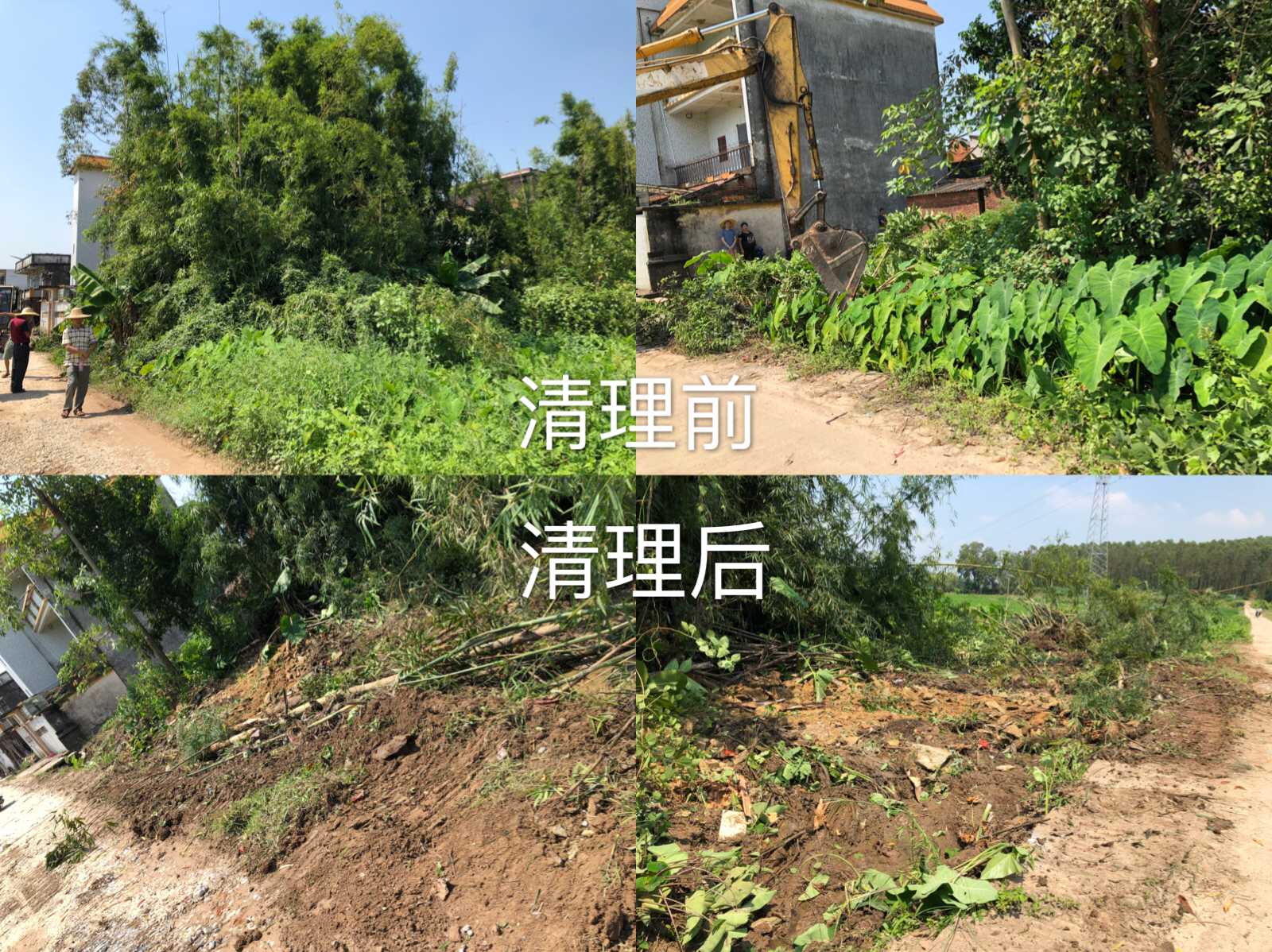 民强安和村三清三拆三整治工作进行中5.jpg