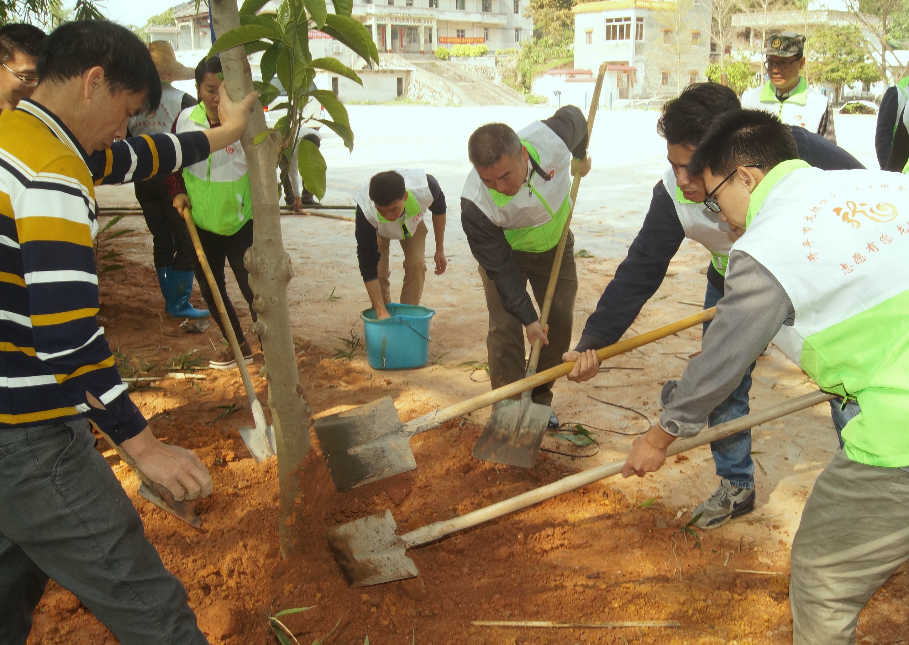 机关党员义工植树志愿活动.JPG